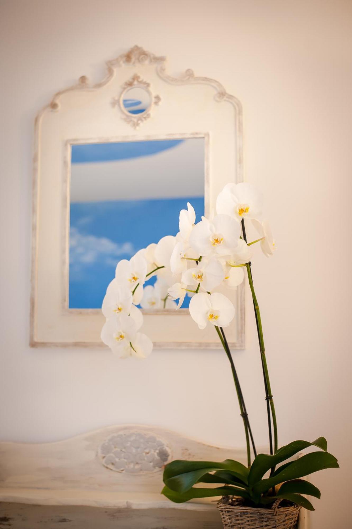 Bed and Breakfast Les 4 éléments Tourrettes-sur-Loup Habitación foto