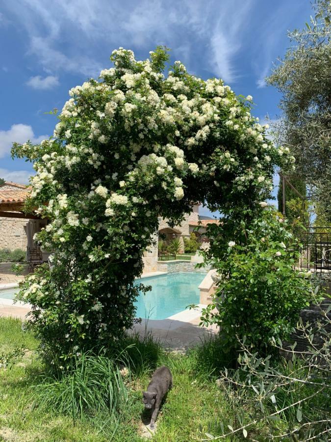 Bed and Breakfast Les 4 éléments Tourrettes-sur-Loup Exterior foto